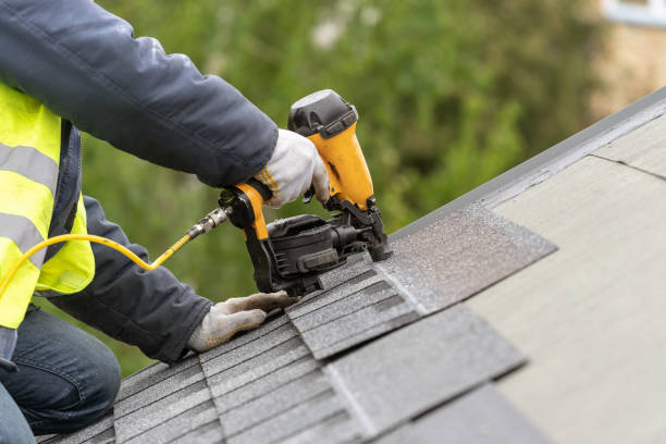 Best Roof Moss and Algae Removal  in North Tunica, MS
